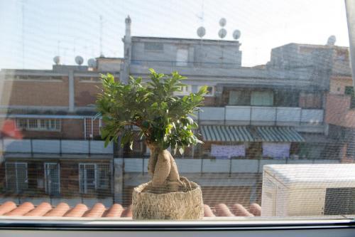 Bed and breakfast Letto E Latte 2*
