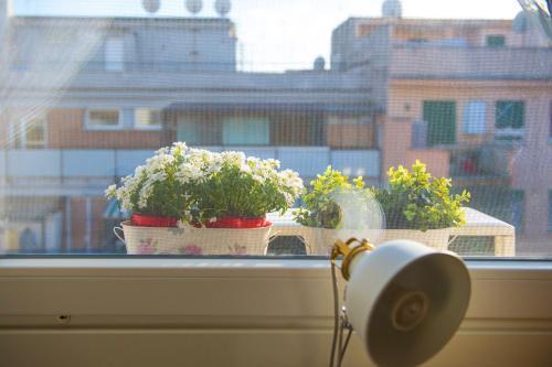 Bed and breakfast Letto E Latte 2*
